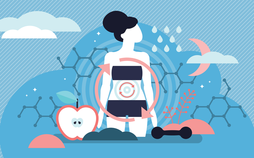 Eastside Weight Loss – Resetting Metabolism Vs Speeding Up Metabolism.